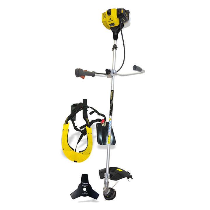 202211031605485646930