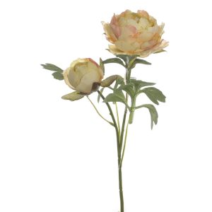 VARA RANUNCULO X 2 AMARILLO