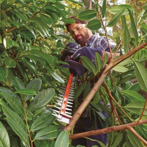 CORTASETOS 500 W. 55 CM. 22 MM.