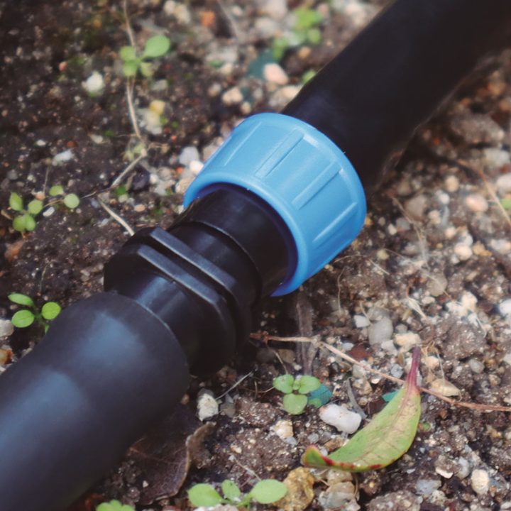 202502260716166034790