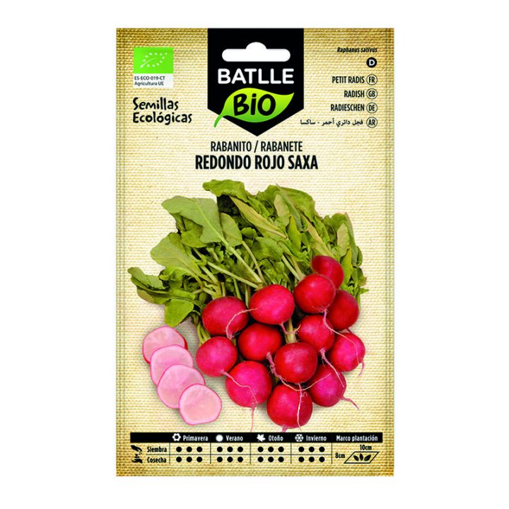 202503261648136948360