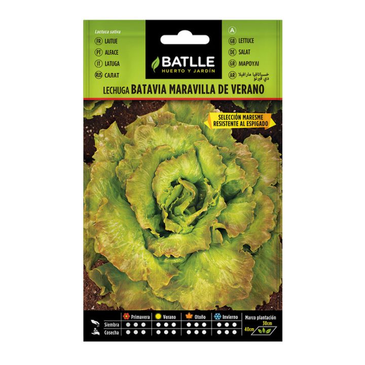 202504011130521265590