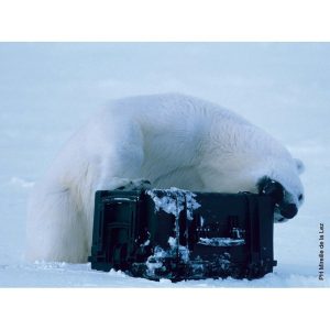 Maleta estanca de protección con espuma Explorer 7745 GT Line