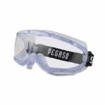 Gafas protección PEGASO antilíquidos