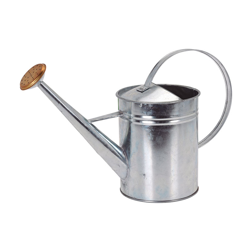 Regadera metálica