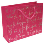 Bolsa Regalo 25x20x8 cm Colores Surt