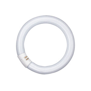 Tubo fluorescente circular trifósforo T9 OSRAM luz fría 22 W 12 unidades