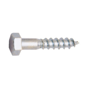 TORNILLO DIN 571 10X100 ZN