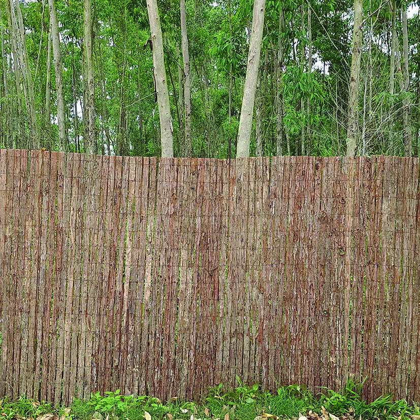 Cañizos y brezos naturales