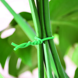 Abrazadera para plantas LISTA Verde
