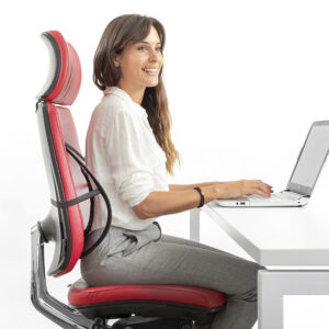 Respaldo Lumbar portatil INNOVAGOODS Backonfy