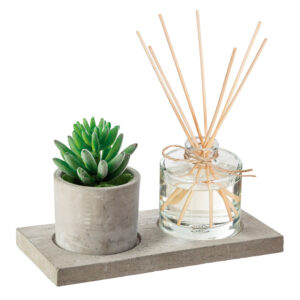 Caja aromas planta decorativa