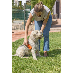Cepillo metálico Pets Club