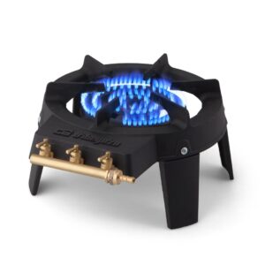 Hornillo a Gas Orbegozo FO6400