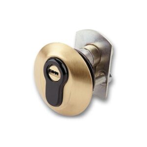 Escudo Protector 420-P Esmaltado Oro