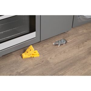 Trampa para Ratas Roe Trap Pinza con Cebo Masso