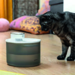 Fuente agua batería recargable INNOVAGOODS mascotas