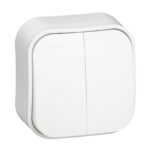 Interrruptor-conmutador doble superficie LEGRAND Serie Oteo-Forix IP21