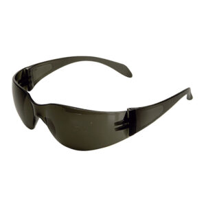 Gafas protección CLIMAX 590-G
