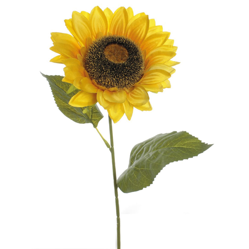 Vara girasol amarillo