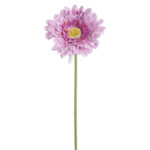 Vara gerbera lila