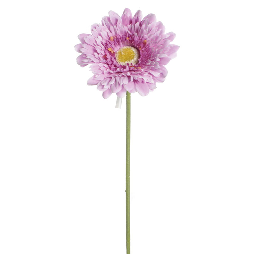 Vara gerbera lila
