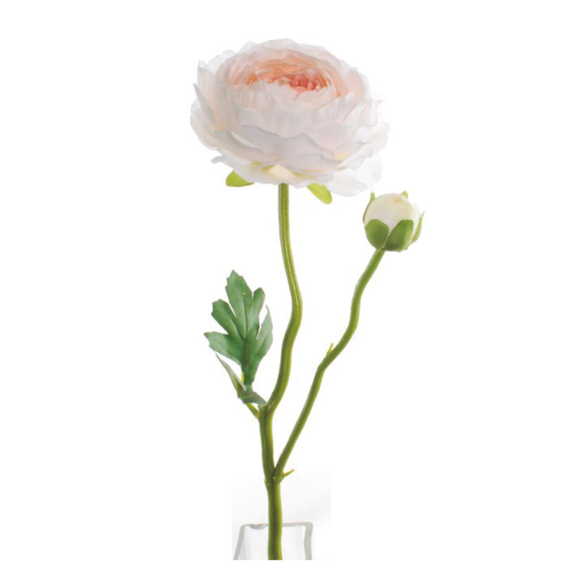 Vara ranunculo rosa