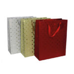 Bolsa de regalo 32x26x10 cm