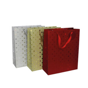 Bolsa de regalo 24x18x8 cm