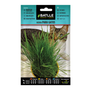 Semilla hierba gatos BATLLE 1,5 gr 10 unidades