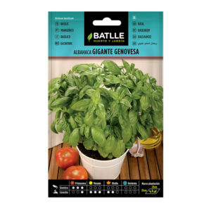 Semillas albahaca gigante BATLLE 4 gr 10 unidades