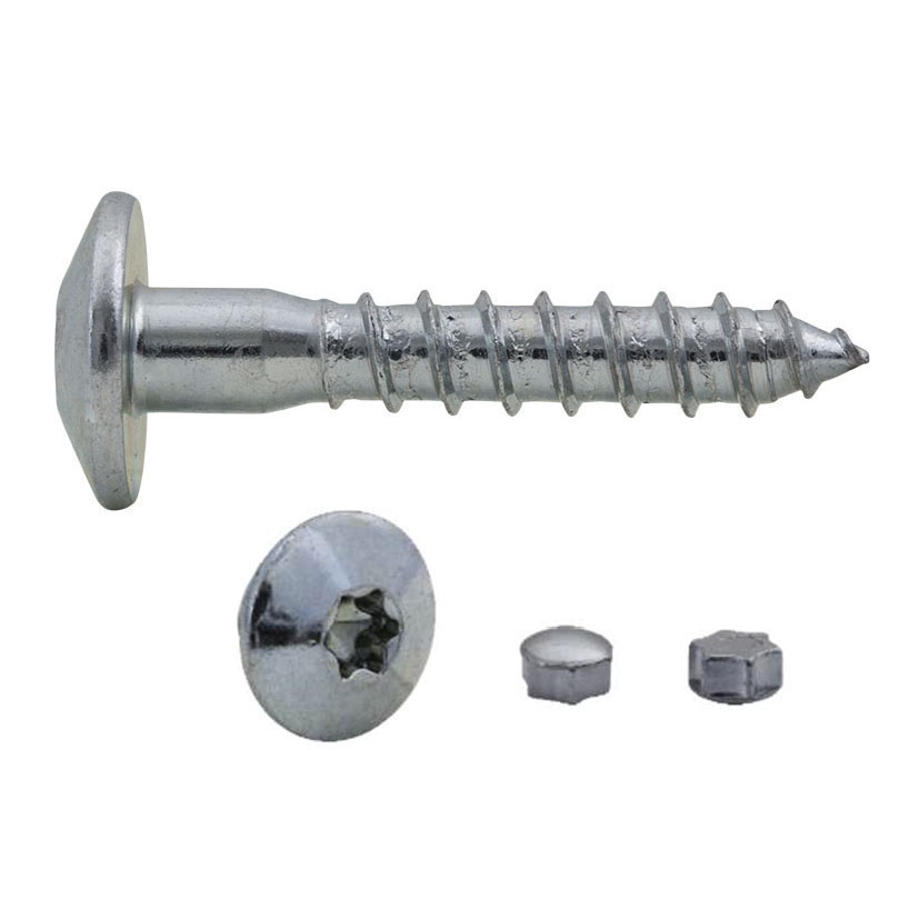 Tornillo con cabeza inviolable DESA - Imagen 2