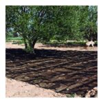 Manto de Recolección Oliva y Almendra LISTA Negro