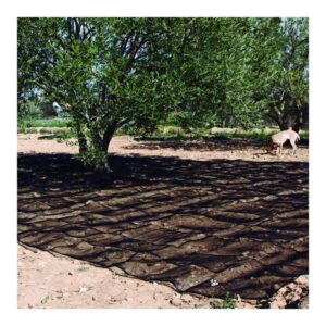 Manto de Recolección Oliva y Almendra LISTA Negro