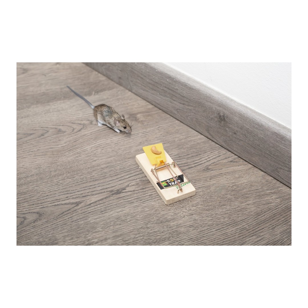 Trampa de madera para ratones Masso Roe-Trap